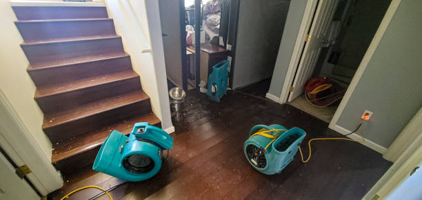 Best Water damage contractors near me  in Chino Hills, CA