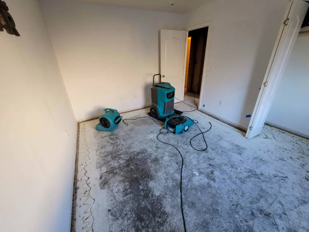 Trusted Chino Hills, CA Water damage restoration Experts
