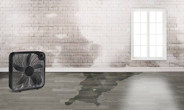 Best Flood restoration services  in Chino Hills, CA