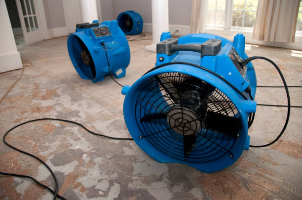 Best Carpet water damage restoration  in Chino Hills, CA