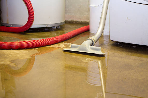 Water damage restoration mold remediation in Chino Hills, CA