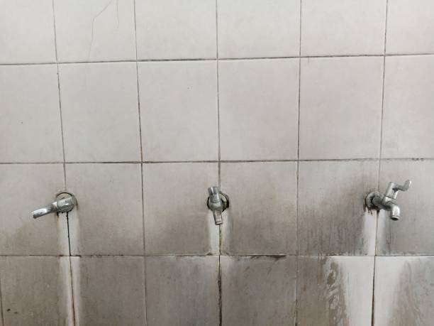 Trusted Chino Hills, CA Water damage restoration Experts