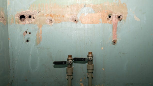 Best Professional water damage repair  in Chino Hills, CA