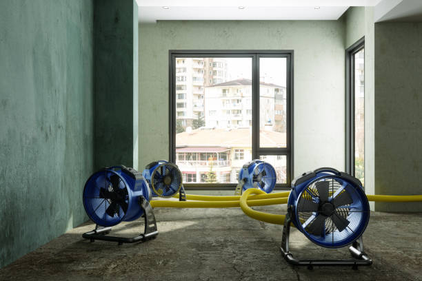 Best Water damage restoration process  in Chino Hills, CA